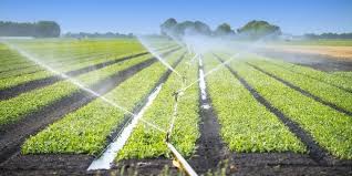 Pengembangan pertanian dan irigasi